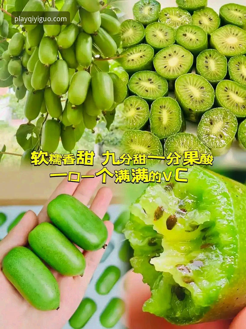 奇异果体育平台怎么样？为什么它能成为值得信赖的娱乐选择？